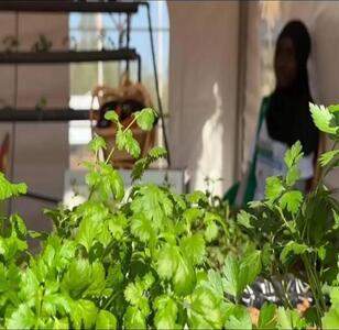 agri_bio_0