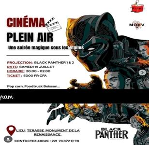 cnmapleinair