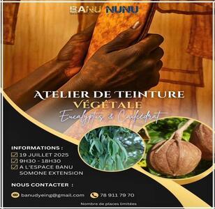 atelier teinture végétale
